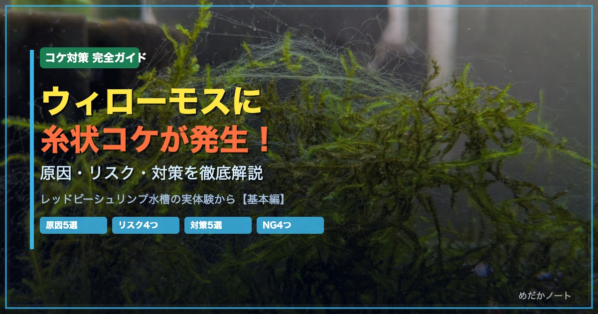 ウィローモスに糸状コケが発生したレッドビーシュリンプ水槽の実写